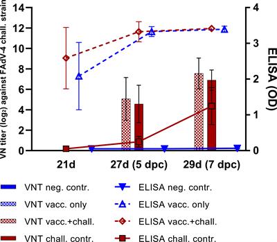 Local cellular immune response plays a key role in protecting chickens against hepatitis-hydropericardium syndrome (HHS) by vaccination with a recombinant fowl adenovirus (FAdV) chimeric fiber protein